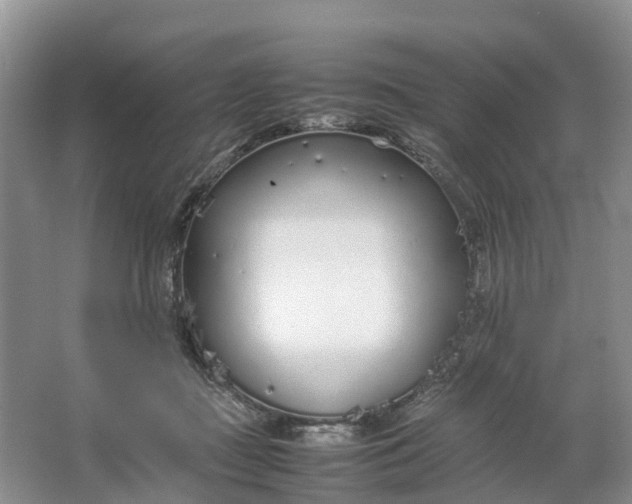 X0000064730363200602241727