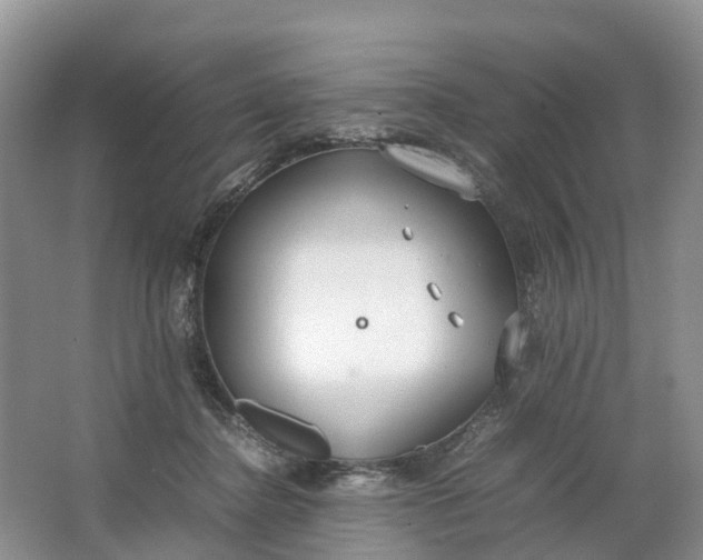 X0000064730364200602241727