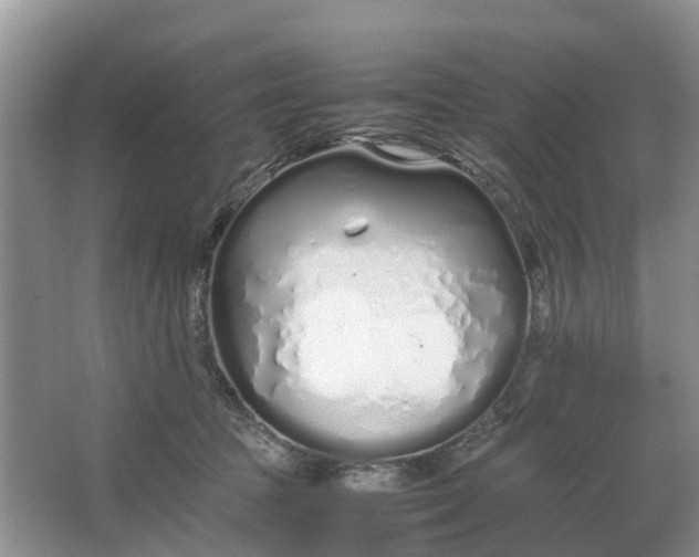 X0000064730369200602241727