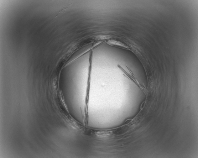 X0000064730373200602241728