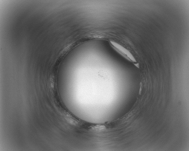 X0000064730374200602241728