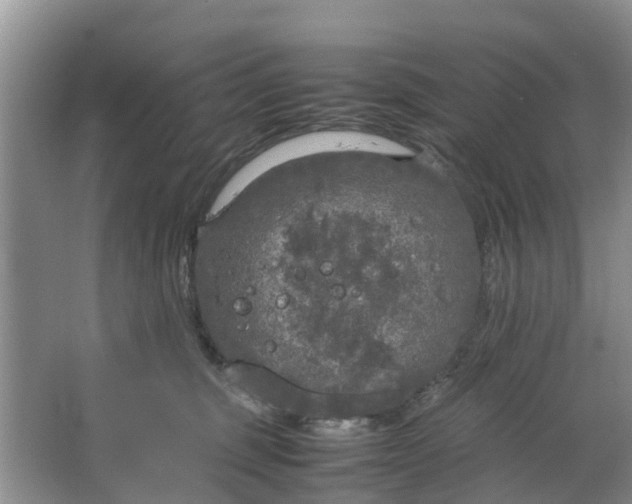 X0000064730375200602241728