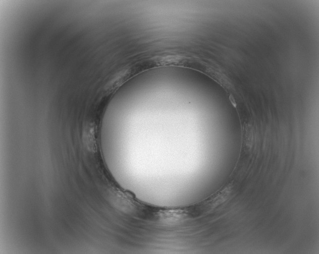 X0000064730378200602241728