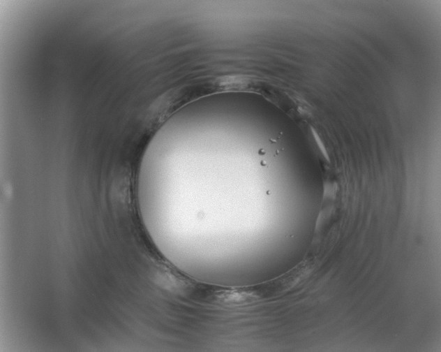 X0000064730379200602241728