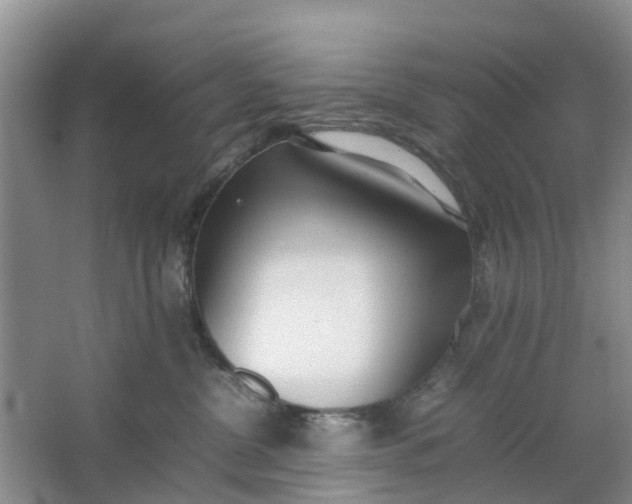 X0000064730380200602241728