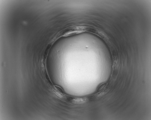 X0000064730381200602241728