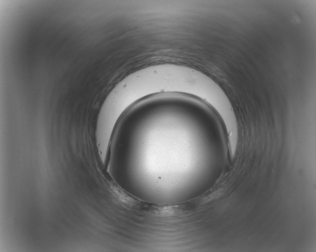 X0000064730382200602241728