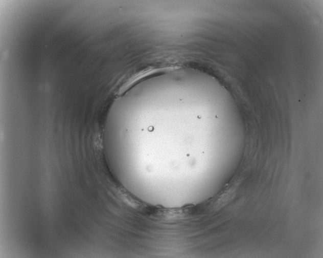 X0000064730384200602241728