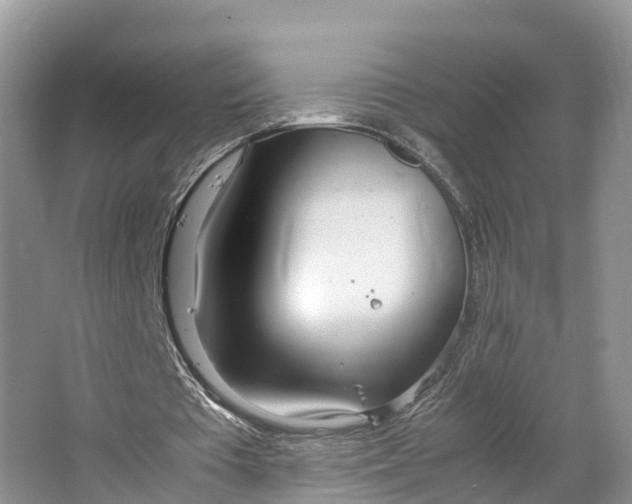 X0000064730385200602241727