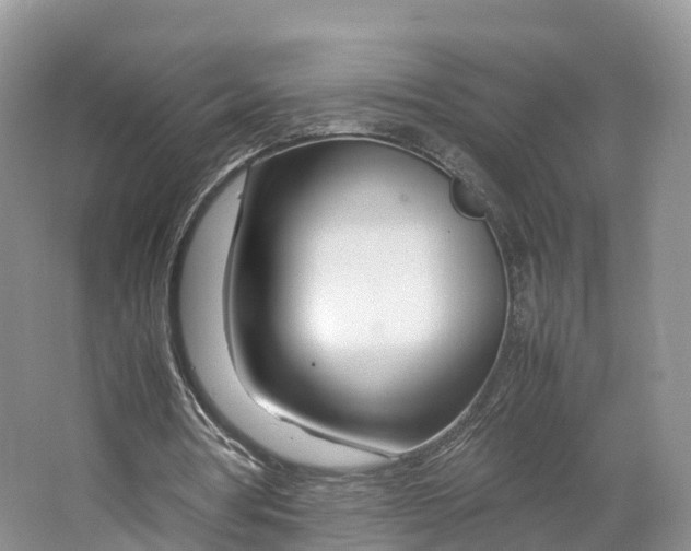 X0000064730386200602241727