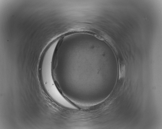 X0000064730387200602241727