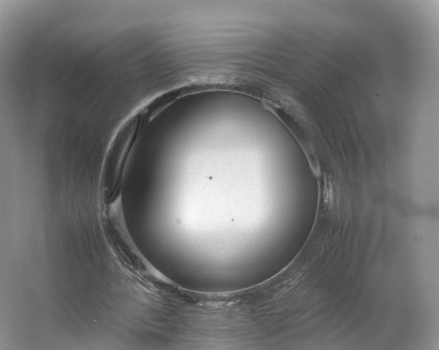 X0000064730388200602241727