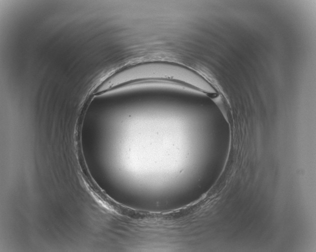 X0000064730389200602241727