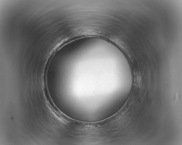 X0000064730390200602241727