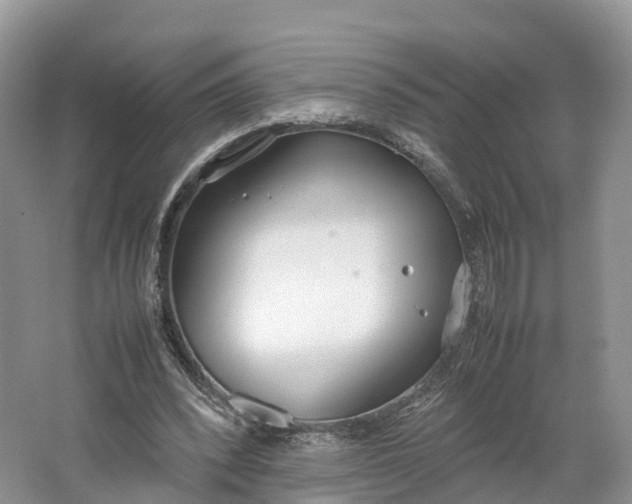 X0000064730392200602241726