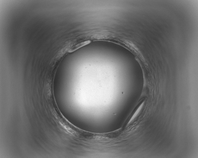 X0000064730393200602241726