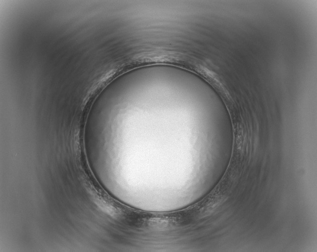 X0000064730394200602241726