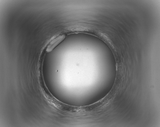 X0000064730395200602241726