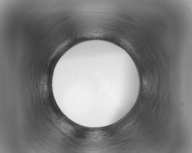 X0000064730396200602241726