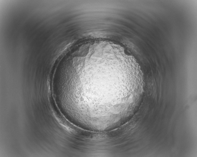 X0000064730398200602241726