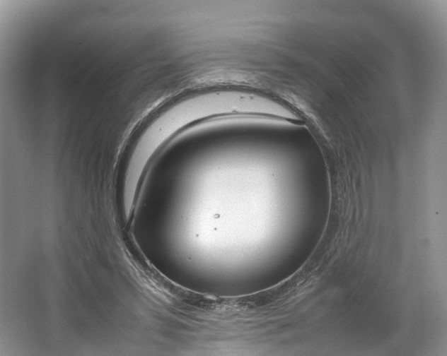 X0000064730399200602241726