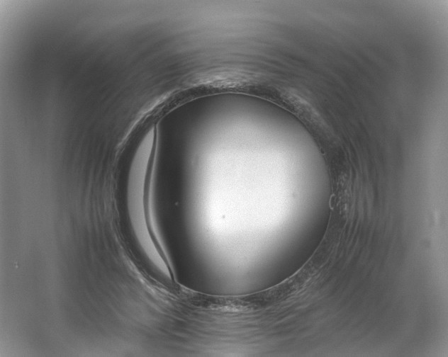 X0000064730400200602241726