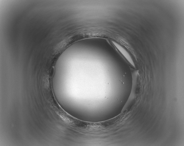 X0000064730401200602241726