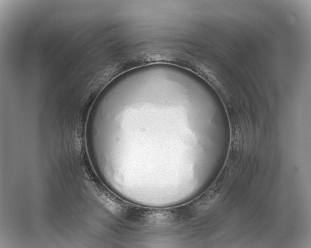 X0000064730402200602241726