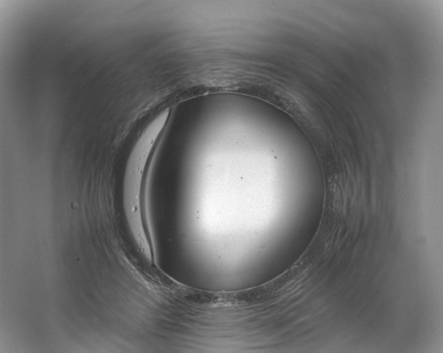 X0000064730404200602241726