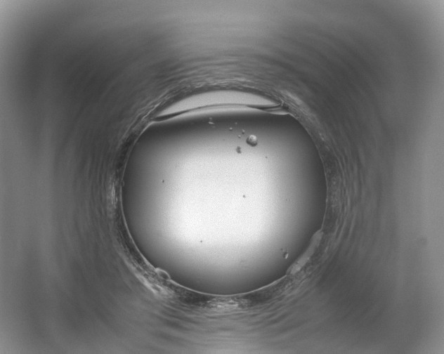 X0000064730405200602241726