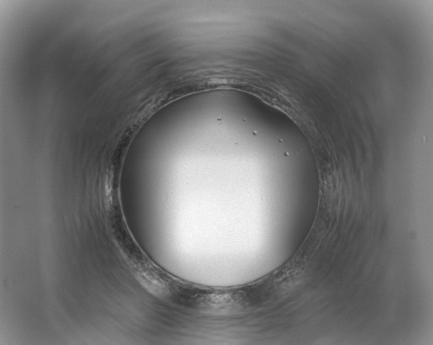 X0000064730406200602241726