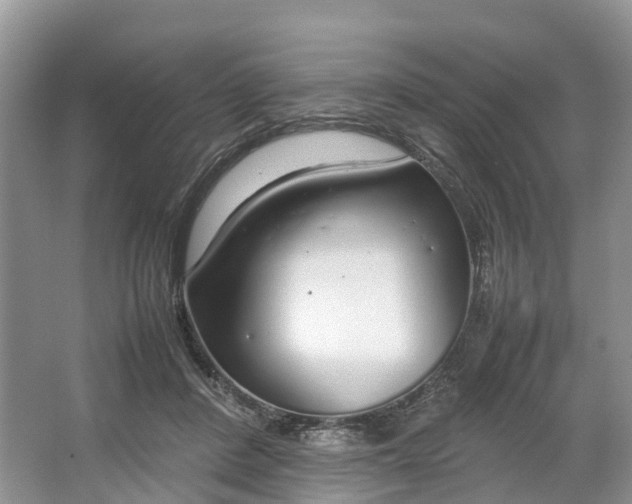 X0000064730408200602241726