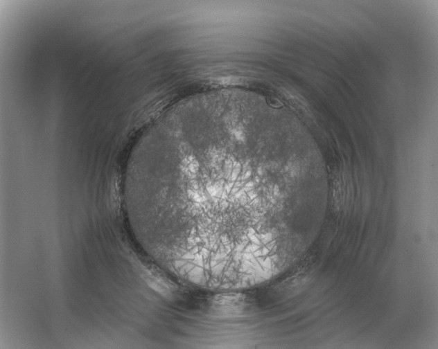 X0000064730410200602241726