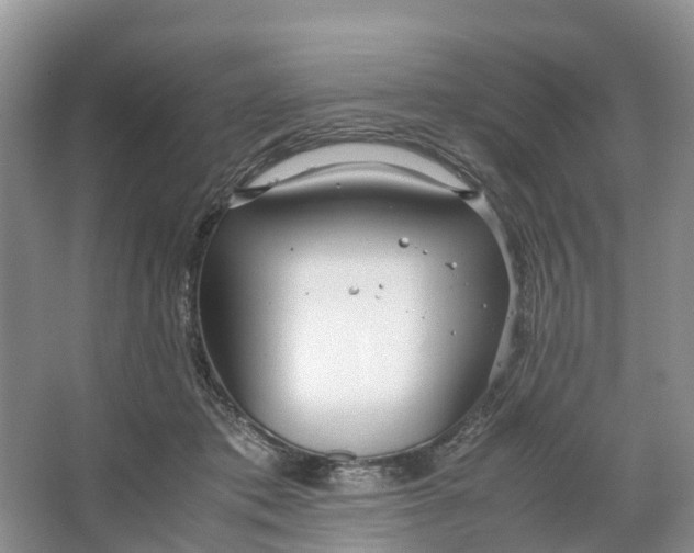 X0000064730413200602241726