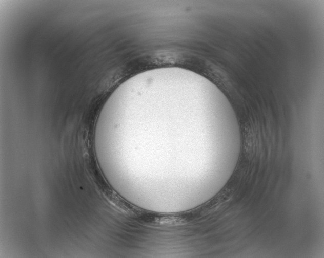 X0000064730414200602241726