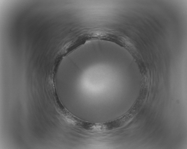 X0000064730415200602241726