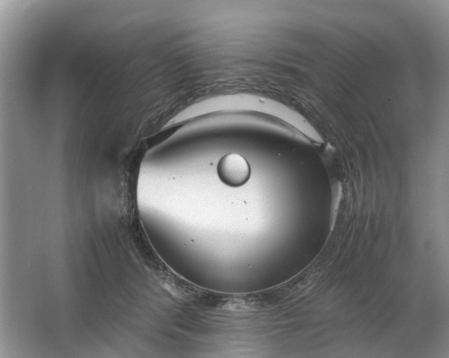 X0000064730416200602241726