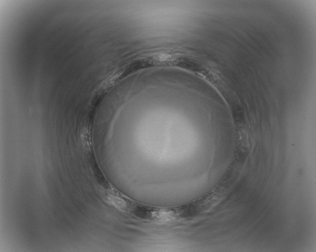 X0000064730419200602241726