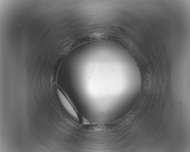 X0000064730420200602241726