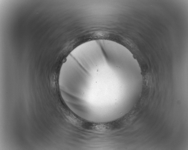 X0000064730423200602241726