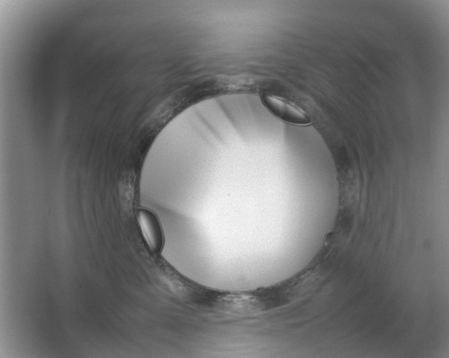 X0000064730427200602241726