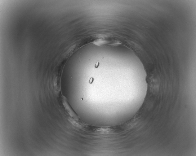 X0000064730428200602241726