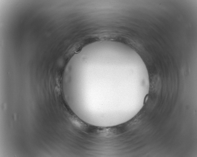 X0000064730430200602241726