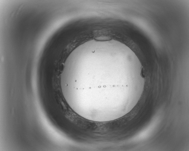 X0000064730431200602241725