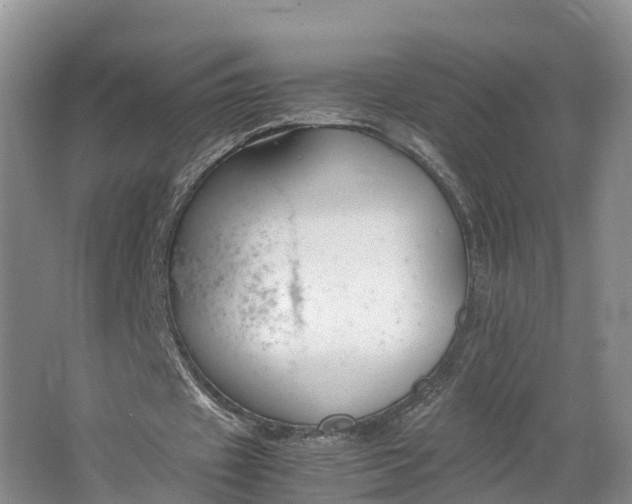 X0000064730433200602241724