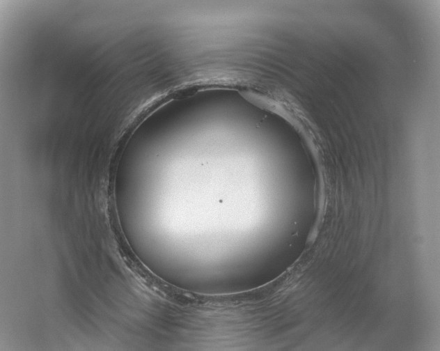 X0000064730434200602241724