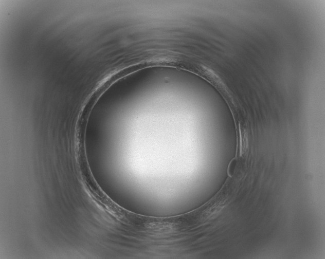 X0000064730435200602241724