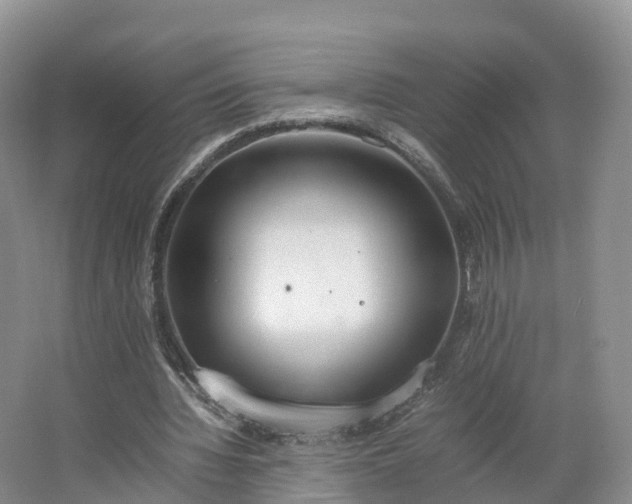 X0000064730436200602241724