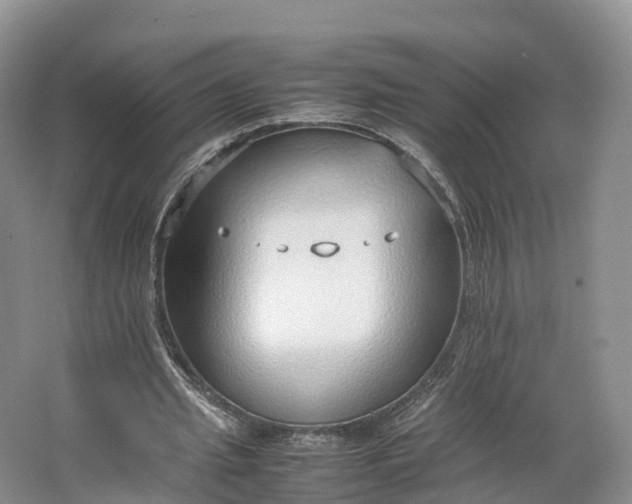 X0000064730437200602241724