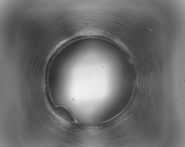 X0000064730438200602241724